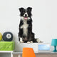 Border Collie 2 Years Wall Decal