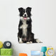 Border Collie 2 Years Wall Decal