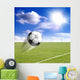 Soccer Wall Decal