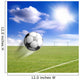 Soccer Wall Decal