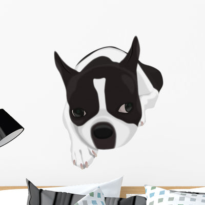Boston Terrier Wall Decal shown on a wall