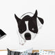 Boston Terrier Wall Decal
