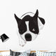 Boston Terrier Wall Decal