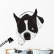Boston Terrier Wall Decal