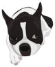 Boston Terrier