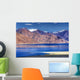 Pangong tso (Lake), Leh, Ladakh, Jammu and Kashmir, India Wall Decal