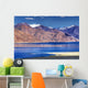 Pangong tso (Lake), Leh, Ladakh, Jammu and Kashmir, India Wall Decal