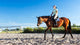 Reitunterricht Wall Decal