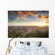 Panorama Pietrasanta, Versilia Wall Decal