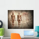 Human Body Wall Decal