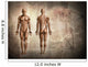 Human Body Wall Decal