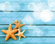 Beach. Starfish on blue wooden deck. Wall Decal
