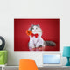 cat in a shirt and tie with a flower on a red background isolate Wall Decal