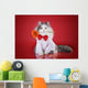 cat in a shirt and tie with a flower on a red background isolate Wall Decal
