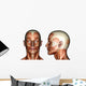 face muscles Wall Decal