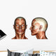 face muscles Wall Decal