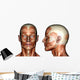face muscles Wall Decal
