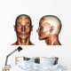 face muscles Wall Decal
