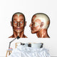 face muscles Wall Decal