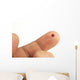 drop of blood Wall Decal