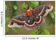 Cecropia Moth on evergreen Wall Decal
