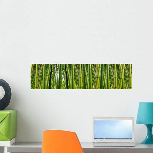 Dense Bamboo Jungle Wall Decal