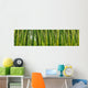 Dense Bamboo Jungle Wall Decal