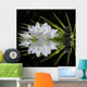 Zen Perfume Wall Decal