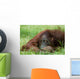 Cute Orangutan Wall Decal