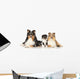 Dog Breeds Sheltie Wall Decal