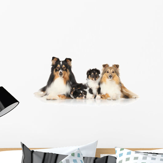 Dog Breeds Sheltie Wall Decal