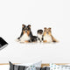 Dog Breeds Sheltie Wall Decal