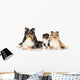 Dog Breeds Sheltie Wall Decal