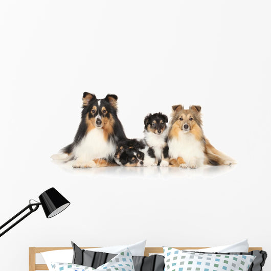 Dog Breeds Sheltie Wall Decal