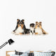 Dog Breeds Sheltie Wall Decal