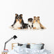Dog Breeds Sheltie Wall Decal