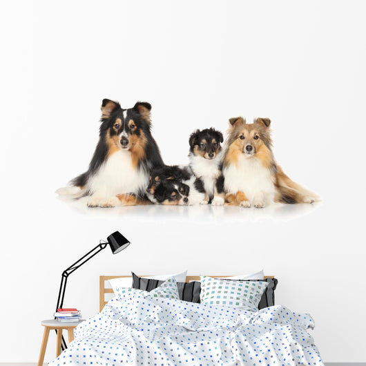 Dog Breeds Sheltie Wall Decal