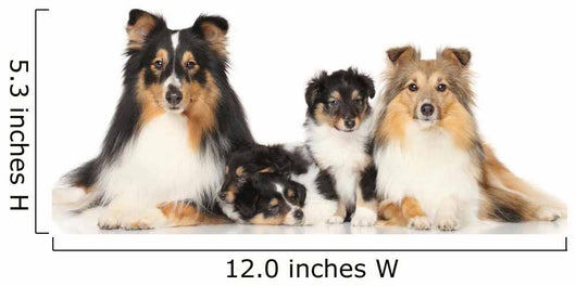 Dog Breeds Sheltie Wall Decal
