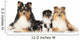 Dog Breeds Sheltie Wall Decal