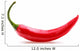 red chili or chilli cayenne pepper isolated on white  background Wall Decal