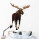 Moose 2 Wall Decal