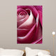 Single Pink Rose Wall Decal