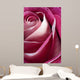 Single Pink Rose Wall Decal