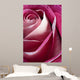 Single Pink Rose Wall Decal