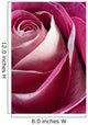 Single Pink Rose Wall Decal