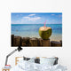 Cocktail sur la plage Wall Decal