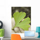 leaf on the hand Wall Decal