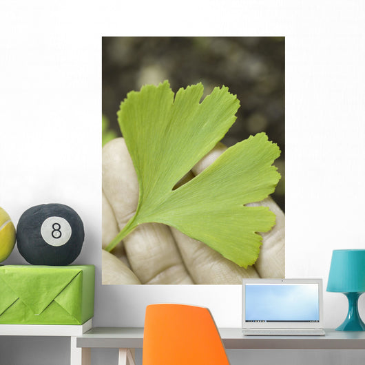 leaf on the hand Wall Decal