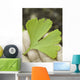 leaf on the hand Wall Decal