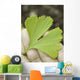leaf on the hand Wall Decal